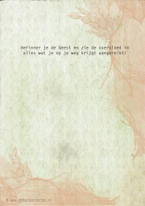 7314_467805146647855_333959113_n
