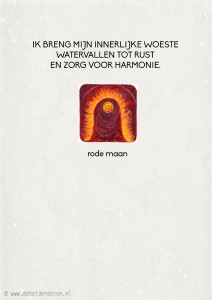 29-9 rode maan