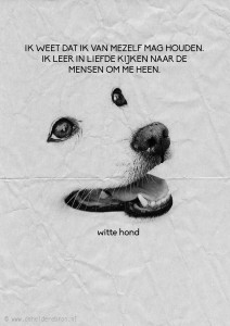 20 10 witte hond