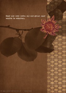 door ons