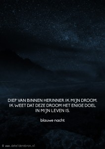 2-11 blauwe nacht