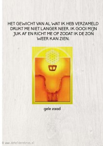 23-11 gele zaad