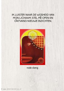 24-11 rode slang