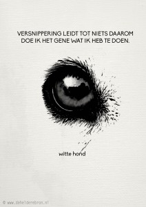 29-11 witte hond