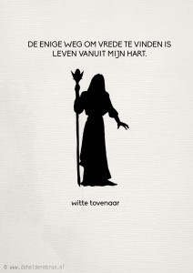 3-12 witte tovenaar