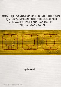2014-01-02 gele zaad