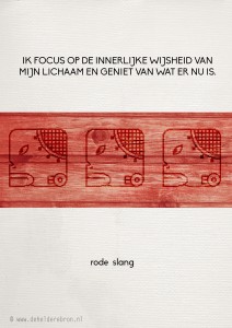 2014-01-03 rode slang