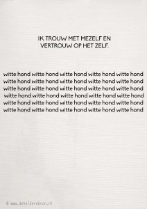 2014-01-08 wittte hond
