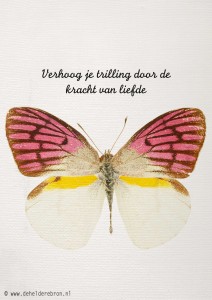 2014-01-11 verhoog je