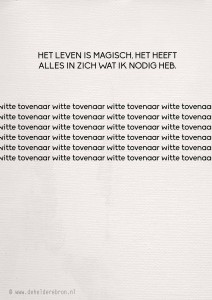 2014-01-12 witte tovenaar