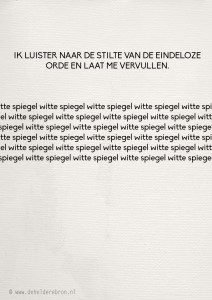 2014-01-16 witte spiegel