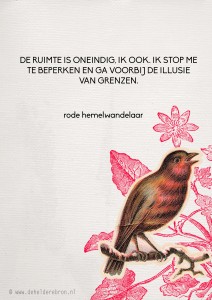 2014-01-31rode hemel