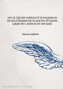 2014-02-02 blauwe adelaar
