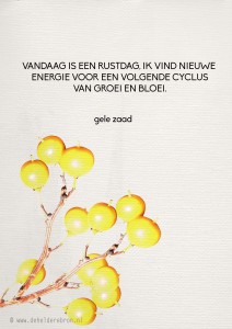 2014-02-11 gele zaad