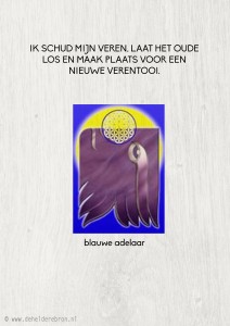 2014-02-22 blauwe adelaar