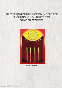 2014-02-28 rode draak