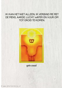 2014-03-03 gele zaad
