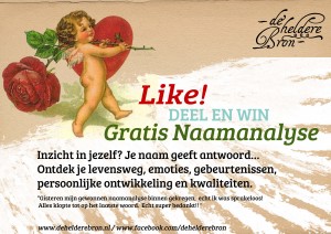 winnen9