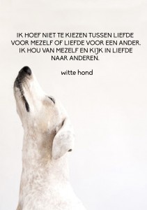 2014-05-28 witte hond