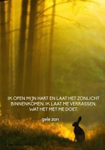 2014-06-08 gele zon