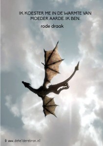 2014-06-08 rode draak