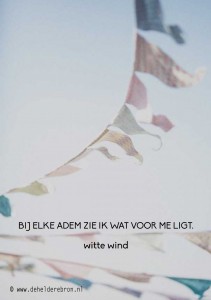 2014-06-09 witte wind
