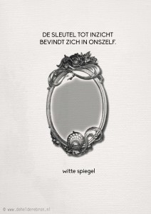 2014-08-24 witte spiegel