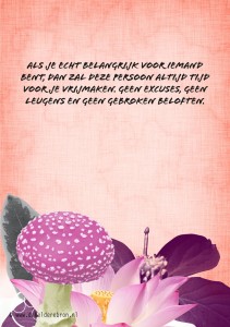alsjeechtbelangrijk