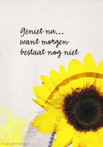 genietnuwant