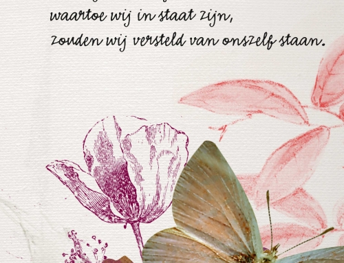 Als wij alle dingen zouden doen…