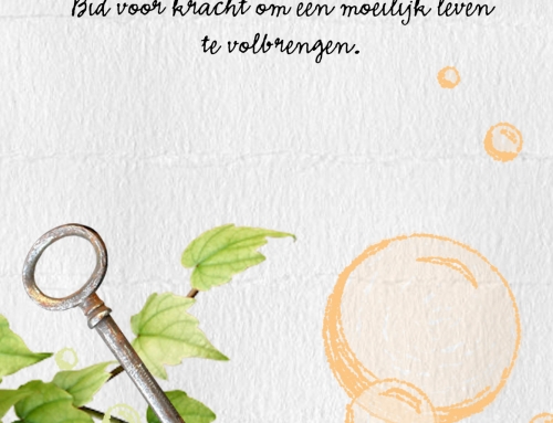 Bid niet voor een makkelijk leven.