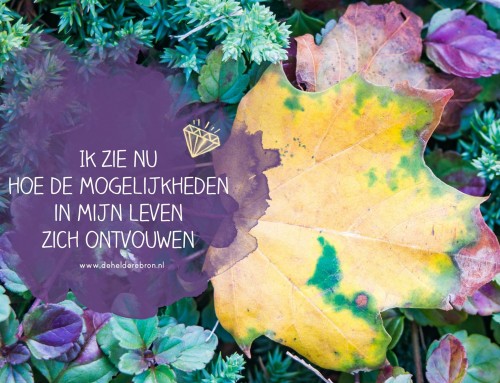 Ik zie nu hoe de mogelijkheden zich in mijn leven ontvouwen