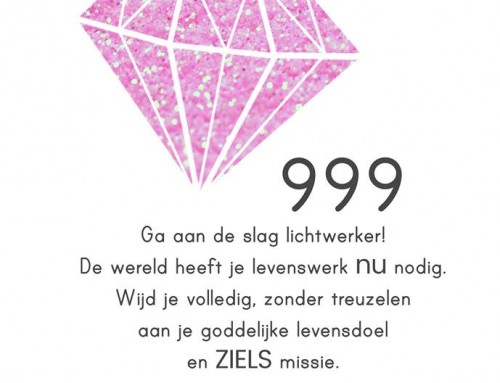 999 ga aan de slag lichtwerker