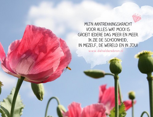 Ik zie de schoonheid, in mezelf, de wereld en in jou!