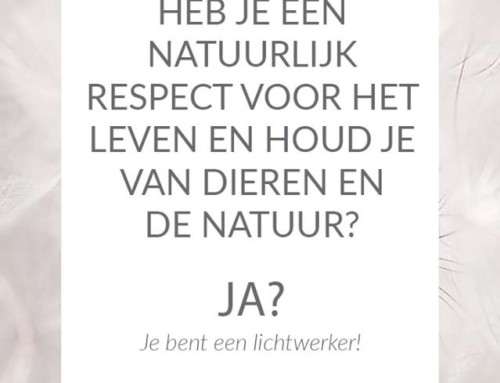 Ben je ook een lichtwerker? kenmerk nummer 7