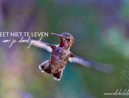 Vergeet niet te leven, voor je dood gaat!