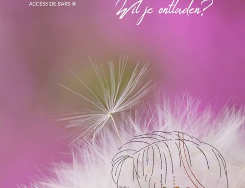 Access Bars Class Leiden 28 mei 2017