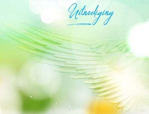 Uitnodiging kennis webinar: 3 redenen waarom het channelen niet lukt…>>gratis