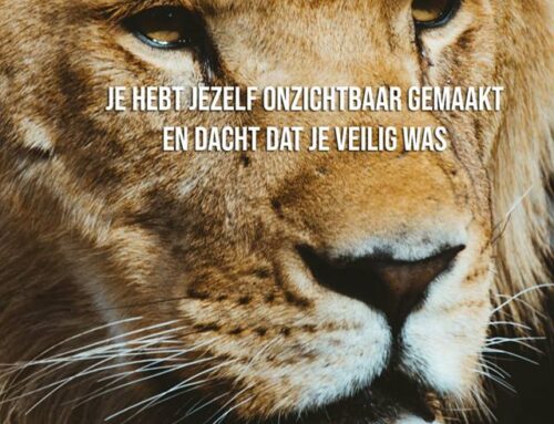 BERICHT LICHT: je hebt jezelf onzichtbaar gemaakt
